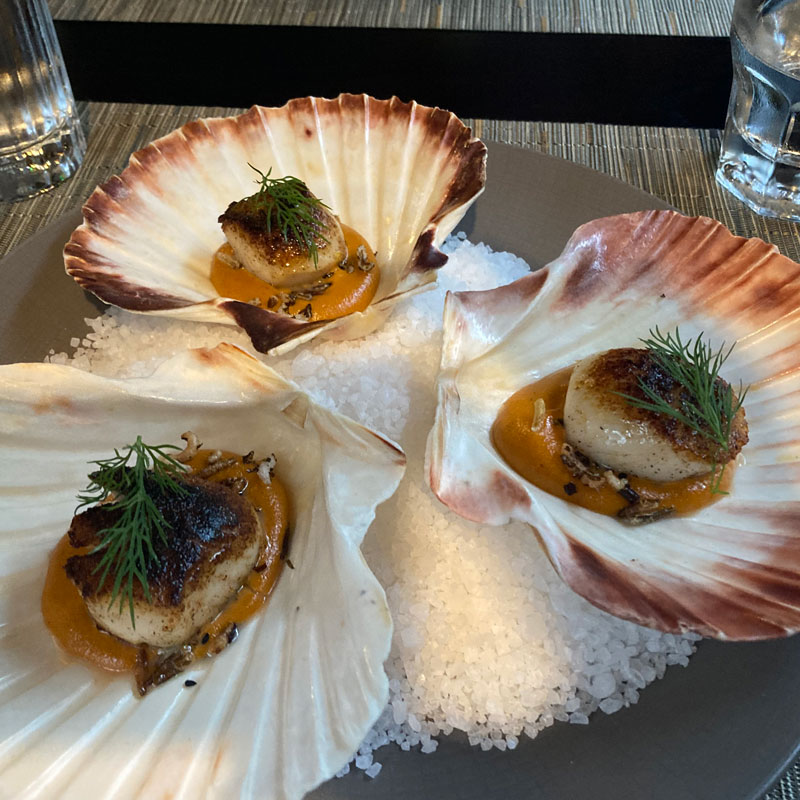 Delicious Dish